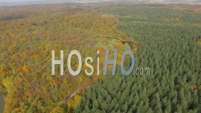 Forest Landscape In Isere, France, Aerial Video Drone Footage