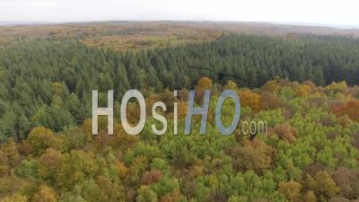 Forest In Autumn In Isere, France – Aerial Video Drone Footage