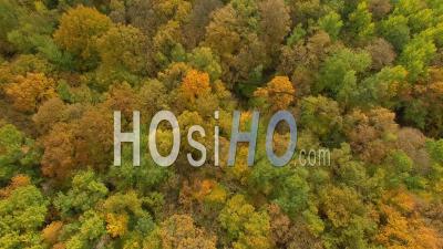 Forêt Et étangs En Isère, Vidéo Drone