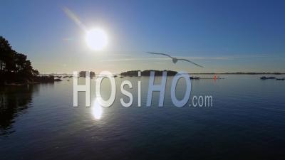 The Harbor Of Arradon In The Golfe Du Morbihan - Video Drone Footage