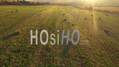 Agricultural Field With Bay Hales At Sunset From A Drone - Video Drone Footage