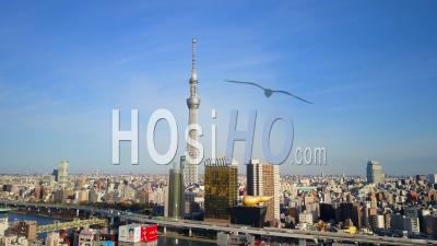 Structure La Plus Haute Du Tokyo Skytree Needle Tower Au Japon. Asahi Breweries. - Vidéo Drone