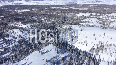 Flying Above Snow Covered Mountains And Forest - Video Drone Footage