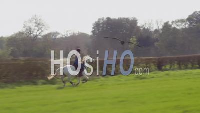 Jeune Femme équestre à Cheval Au Royaume-Uni - Vidéo Drone