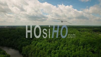Bird Hills Nature Area Panoramique à Gauche. Ann Arbor Michigan Usa - Vidéo Drone