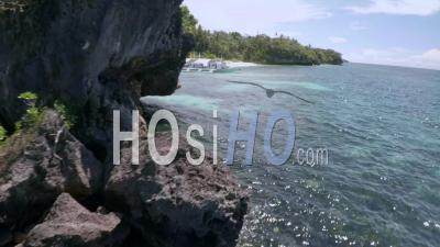 Catamarans à Apo Island Tropical Resort Philippines, Asie - Vidéo Drone