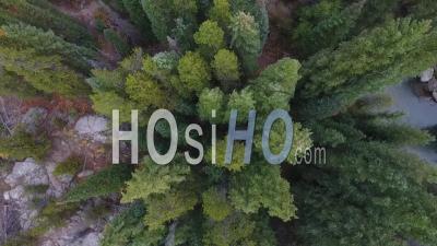 Forested Area In Fork River - Video Drone Footage