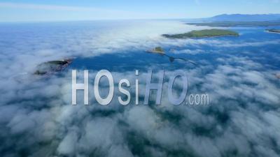 Brouillard Sur L'île Wickaninnish Tofino Côte Ouest De L'île De Vancouver