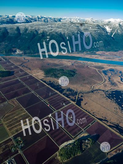 Pitt Meadows Agriculture - Aerial Photography