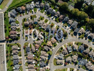 Pitt Meadows Housing - Aerial Photography