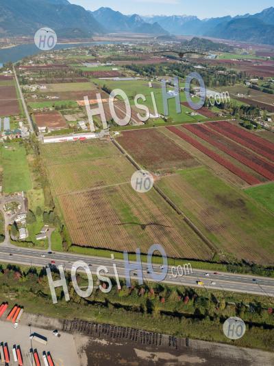 Agriculture Pitt Meadows - Aerial Photography