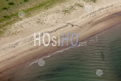 Beach Walking Prince Edward Island Canada - Aerial Photography
