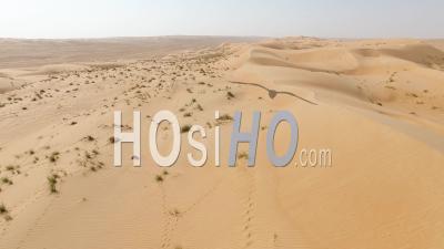 Dune De Sable à Oman Dans La Région D'al Wusta