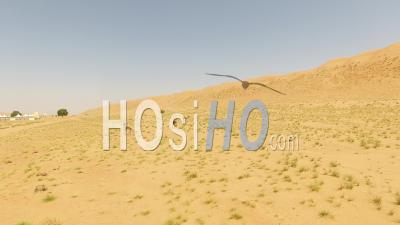 Dune De Sable à Oman Dans La Région D'al Wusta