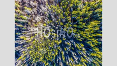 Forest At Breckenridge Ski Resort Colorado - Aerial Photography