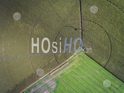 Farming Circles In Utica Nebraska - Aerial Photography