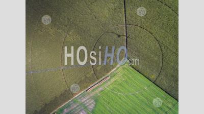 Farming Circles In Utica Nebraska - Aerial Photography