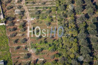 Zone Agricole Bagheria Et Porticello Sicile Italie - Photographie Aérienne