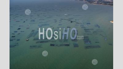 Aquaculture Fishing Industry Thailand - Aerial Photography
