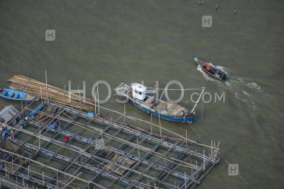 Aquaculture Fishing Industry Thailand - Aerial Photography