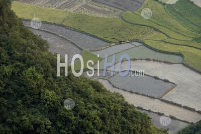 China Guangxi Yangshuo Aerial View Of Rice Paddies From The Top Of The Moon Hill Limestone Peak To - Aerial Photography