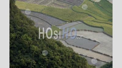China Guangxi Yangshuo Aerial View Of Rice Paddies From The Top Of The Moon Hill Limestone Peak To - Aerial Photography