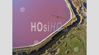 Pond Aerial View Of The City And Saline Lunch, Aigues-Mortes - Aerial Photography