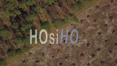 Vue Aérienne De Drone De Déforestation, Destruction De L'environnement - Point De - Vidéo Drone