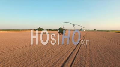 Wheat Fields In France, Video Drone Footage