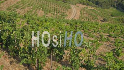 Banyuls-Sur-Mer, Viewed From Vineyard - Video Drone Footage