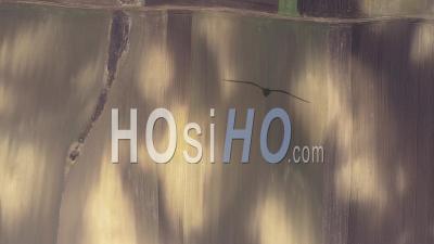 Vidéo Drone Champ Agricole, Prêt à Plantater