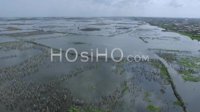 Nokoue Lake Plantations And Fish Traps, Cotonou - Video Drone Footage