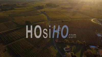 Aerial View Vineyard Of Castle Of Monbazillac, Historical Monument, Sweet Botrytized Wines Have Been Made In Monbazillac