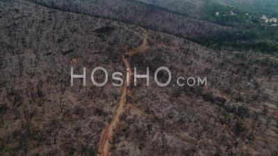 La Londe Les Maures, Forêt Incendiée Et Vignes – Vidéo Drone