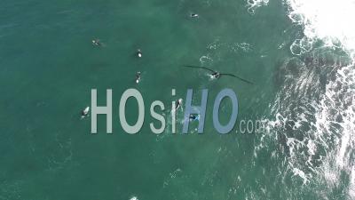 Surfers On Ocean - Video Drone Footage