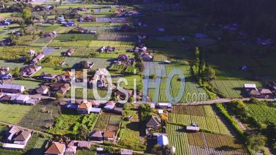 Patchwork Of Farmland At The Foot Of Mount Batur - Video Drone Footage
