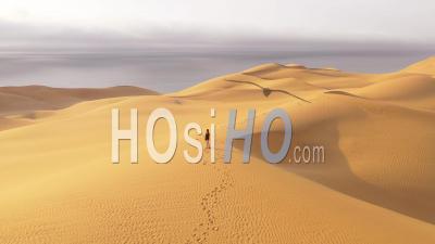 Vue Aérienne D'une Femme Debout Sur Les Dunes De Sable Du Désert Du Namib En Namibie Sur Fond De Skeleton Coast - Vidéo Drone