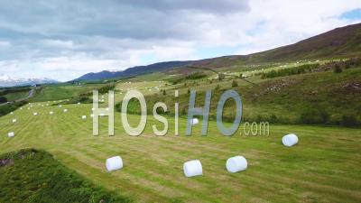 Aerial View Over Large White Bales Of Hay Wrapped In Plastic Cylinders Like Marshmallows In The Fields Of Iceland - Video Drone Footage