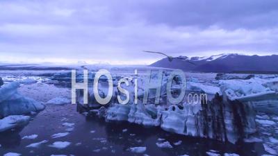 Vidéo Drone D'icebergs Dans Une Baie Glaciaire, Suggérer Un Réchauffement De La Planète Dans L'arctique à La Lagune Des Glaciers De Jokulsarlon, Islande, Nuit