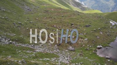 Alpages Dans Les Alpes à La Saison Estivale - Vidéo Drone