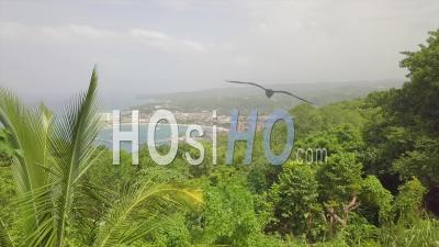 Aerial View Over Treetops Reveals Montego Bay, Jamaica - Video Drone Footage