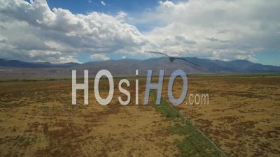 Vue Aérienne Sur La Région Sèche De La Vallée De Owens En Californie Avec Lignes D'irrigation Au Premier Plan - Vidéo Drone
