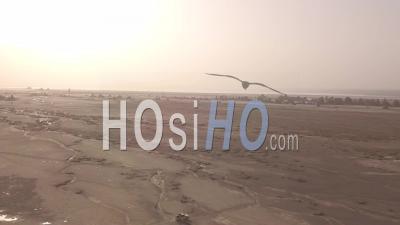 Vue Aérienne Sur Une Jeep 4x4 Voyageant à Travers Les Déserts De Djibouti Ou De Somalie - Vidéo Drone