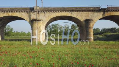 Fields Of Poppies Near A Viaduct Railway, Video Drone Footage