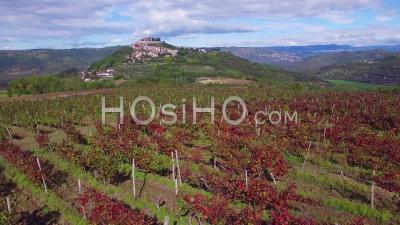 Aerial View Of A Small Croatian Or Italian Hill Town Or Village With Vineyards Foreground - Video Drone Footage