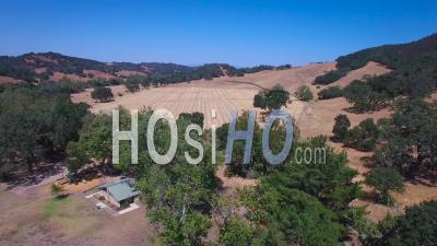 Aerial View Of The Rolling Hills, Oak Trees And Farms Of Central California - Video Drone Footage
