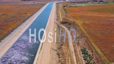 Vue Aérienne De L'aqueduc De Californie Entouré De Champs De Fleurs Sauvages Et De Fleurs De Pavot, Désert De Mojave - Vidéo Drone