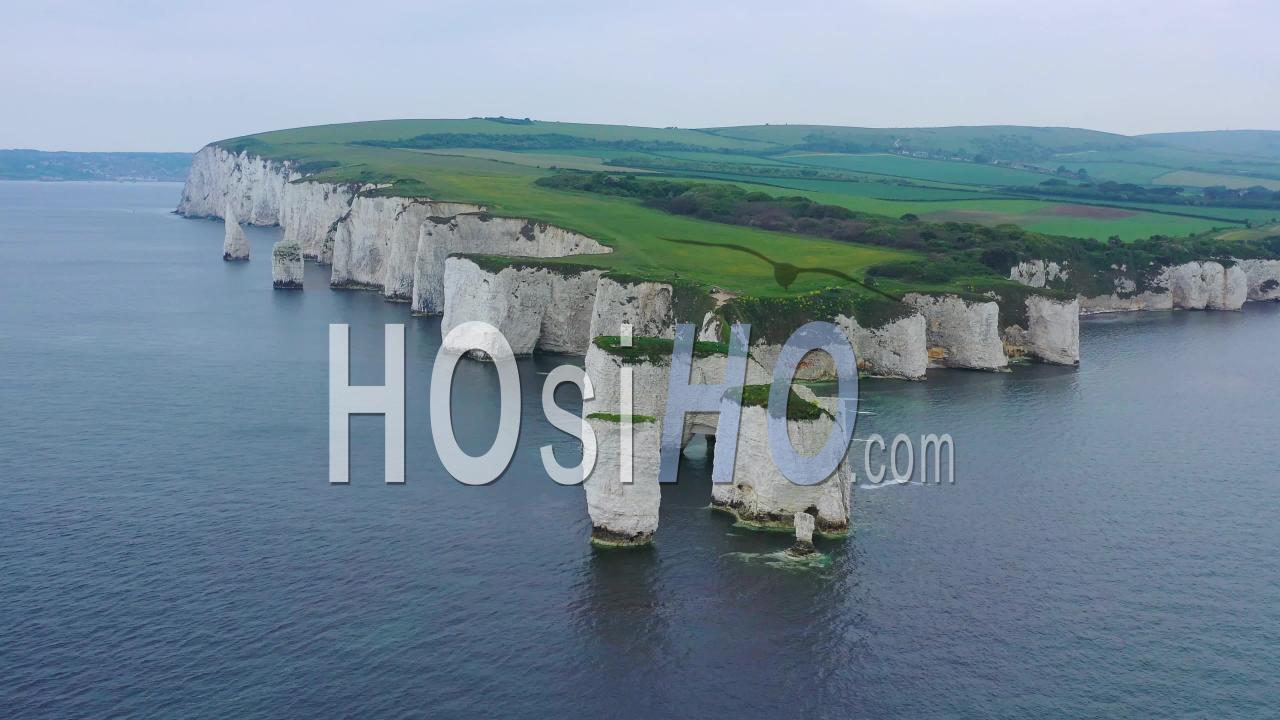 Harrythe Stock Footage Footage Net