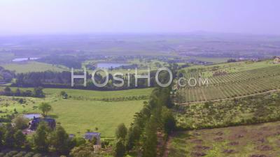 Cultivated Vineyards In Stellenbosch - Video Drone Footage
