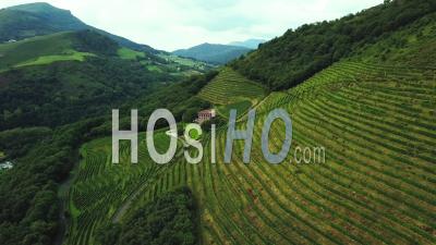 Aerial View Winery Of Etienne Brana Vineyard, Aoc Irouleguy, Saint-Jean-Pied-De-Port France - Video Drone Footage